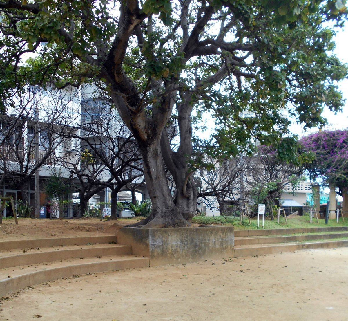 🌳 마키시 공원 (마키시코엔) 이미지 8